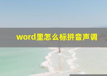 word里怎么标拼音声调