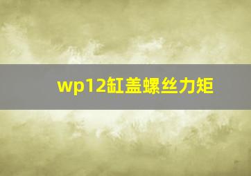 wp12缸盖螺丝力矩