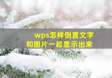 wps怎样倒置文字和图片一起显示出来