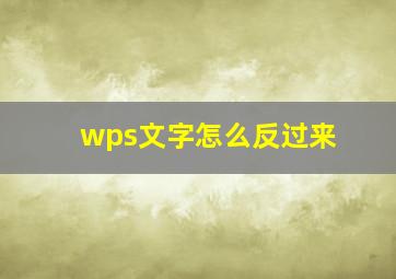 wps文字怎么反过来