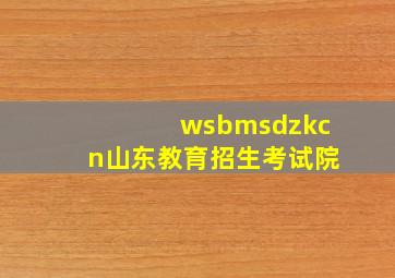 wsbmsdzkcn山东教育招生考试院