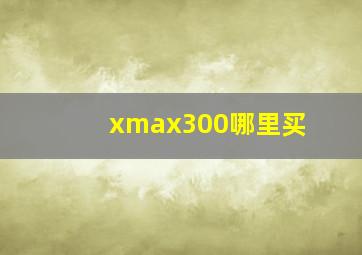 xmax300哪里买