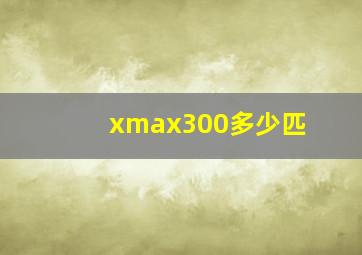 xmax300多少匹