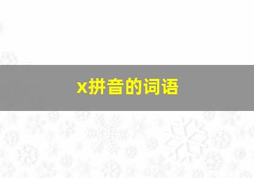 x拼音的词语