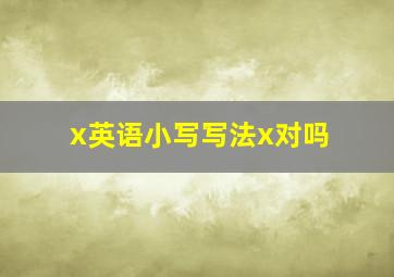 x英语小写写法x对吗