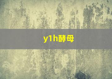 y1h酵母