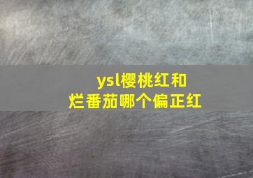 ysl樱桃红和烂番茄哪个偏正红