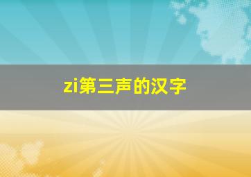 zi第三声的汉字