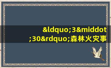 “3·30”森林火灾事件