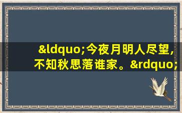 “今夜月明人尽望,不知秋思落谁家。”是什么意思