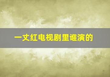 一丈红电视剧里谁演的