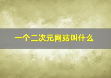 一个二次元网站叫什么