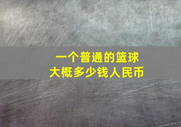 一个普通的篮球大概多少钱人民币