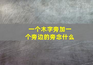 一个木字旁加一个旁边的旁念什么