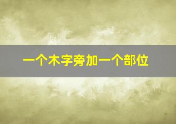 一个木字旁加一个部位