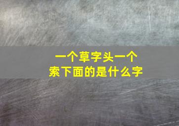 一个草字头一个索下面的是什么字