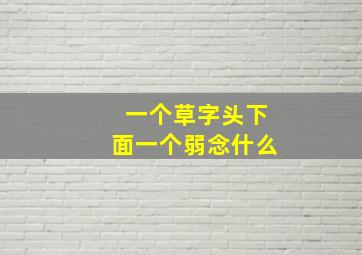 一个草字头下面一个弱念什么