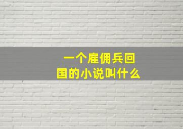 一个雇佣兵回国的小说叫什么