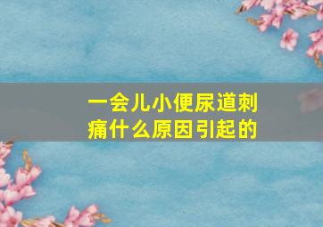 一会儿小便尿道刺痛什么原因引起的