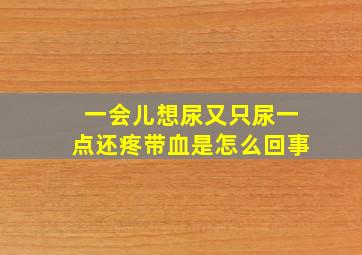 一会儿想尿又只尿一点还疼带血是怎么回事