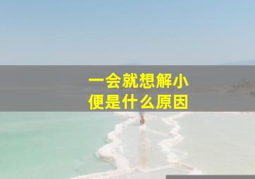 一会就想解小便是什么原因