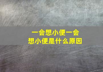 一会想小便一会想小便是什么原因