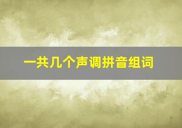 一共几个声调拼音组词