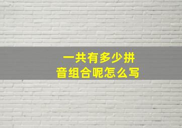 一共有多少拼音组合呢怎么写