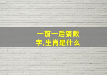 一前一后猜数字,生肖是什么