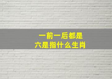 一前一后都是六是指什么生肖