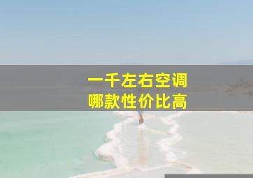 一千左右空调哪款性价比高