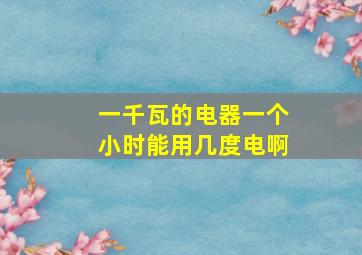 一千瓦的电器一个小时能用几度电啊