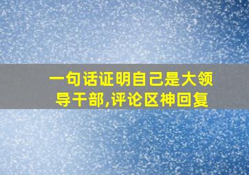 一句话证明自己是大领导干部,评论区神回复