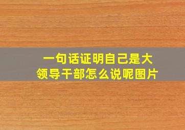 一句话证明自己是大领导干部怎么说呢图片