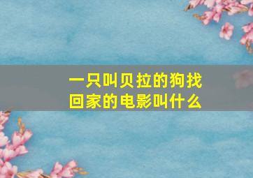 一只叫贝拉的狗找回家的电影叫什么