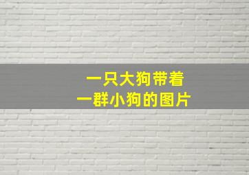 一只大狗带着一群小狗的图片