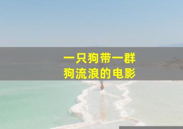 一只狗带一群狗流浪的电影