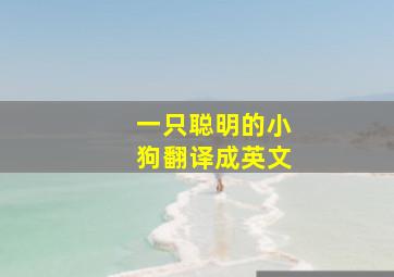 一只聪明的小狗翻译成英文