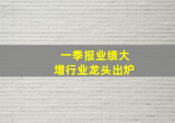 一季报业绩大增行业龙头出炉