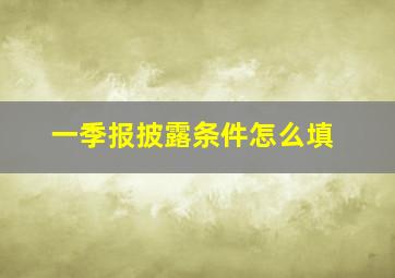 一季报披露条件怎么填