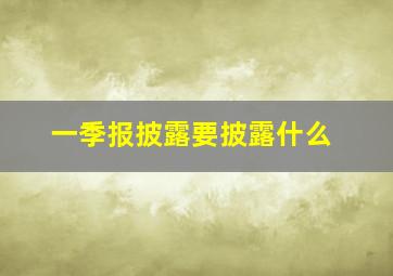 一季报披露要披露什么