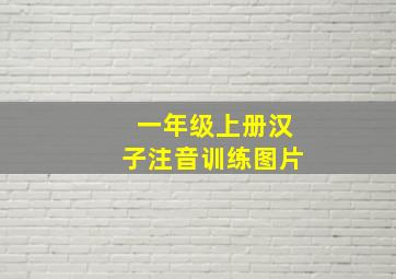 一年级上册汉子注音训练图片