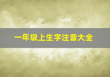 一年级上生字注音大全