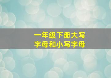 一年级下册大写字母和小写字母