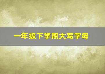 一年级下学期大写字母