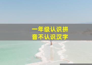 一年级认识拼音不认识汉字