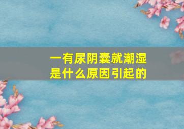 一有尿阴囊就潮湿是什么原因引起的