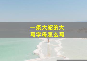 一条大蛇的大写字母怎么写