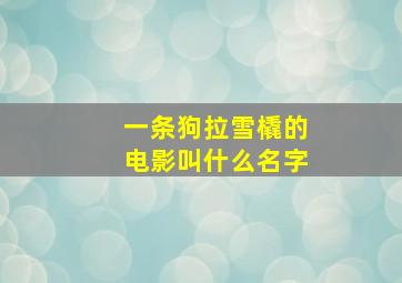 一条狗拉雪橇的电影叫什么名字