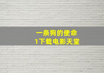 一条狗的使命1下载电影天堂